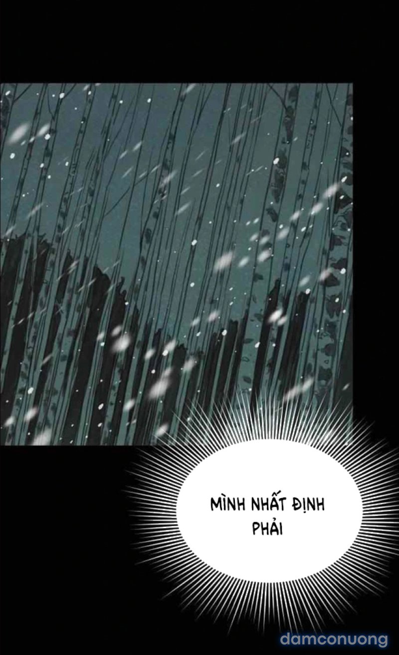 Chuyến Đi Đêm Cùng Nhà Vua 