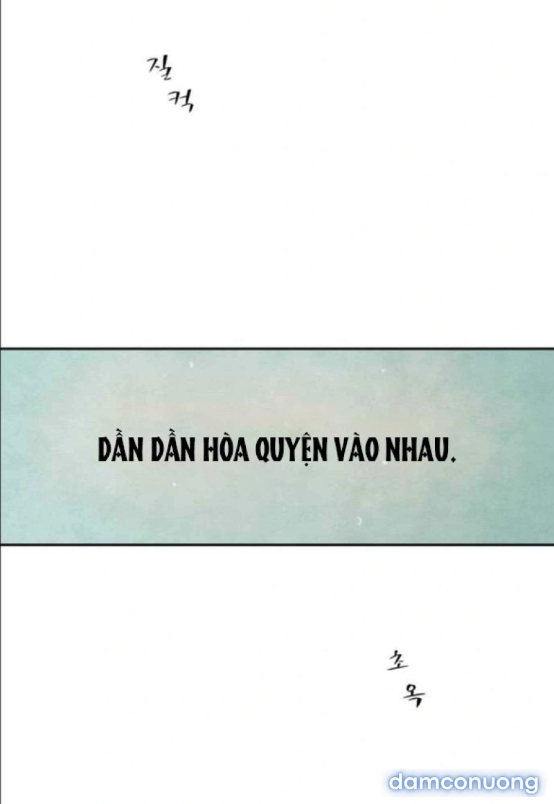 Chuyến Đi Đêm Cùng Nhà Vua 