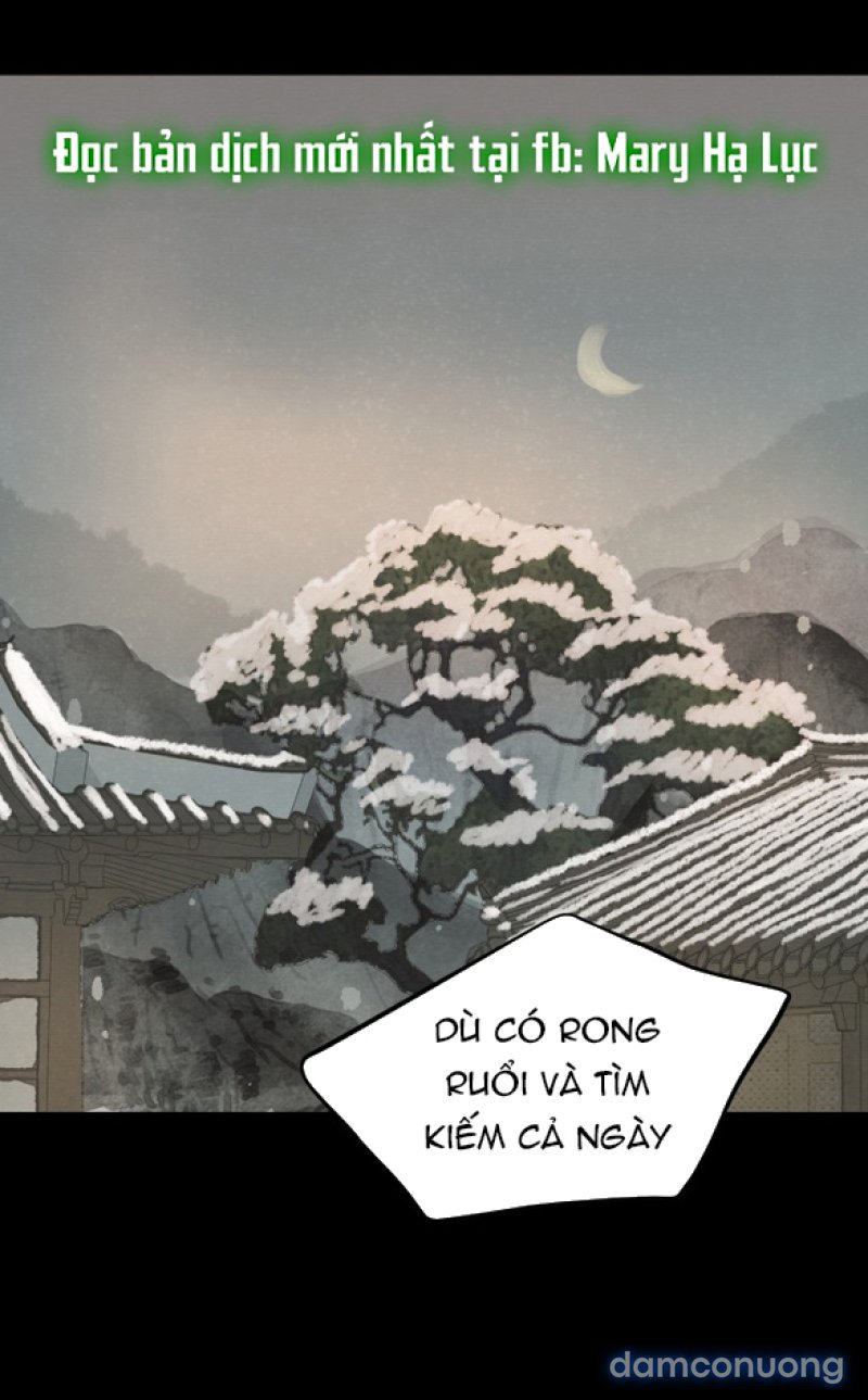 Chuyến Đi Đêm Cùng Nhà Vua 