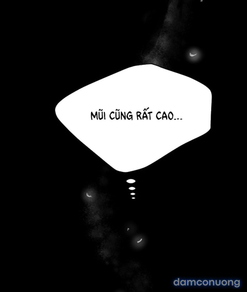 Chuyến Đi Đêm Cùng Nhà Vua 