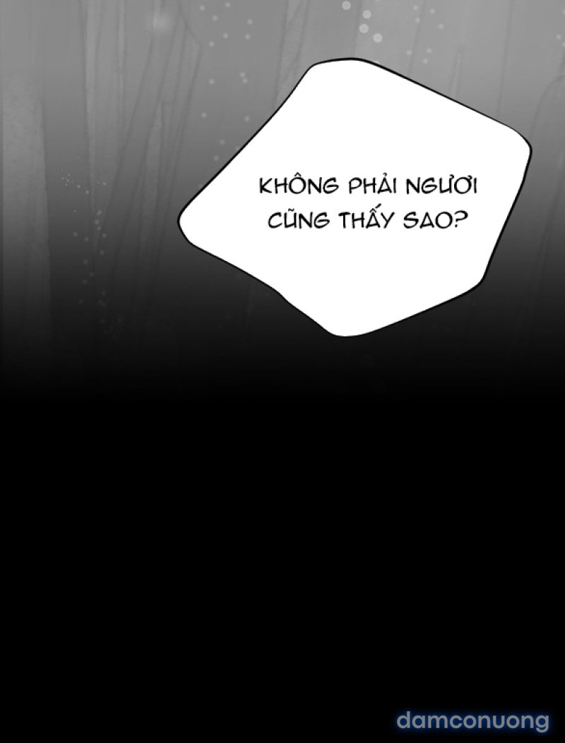 Chuyến Đi Đêm Cùng Nhà Vua 