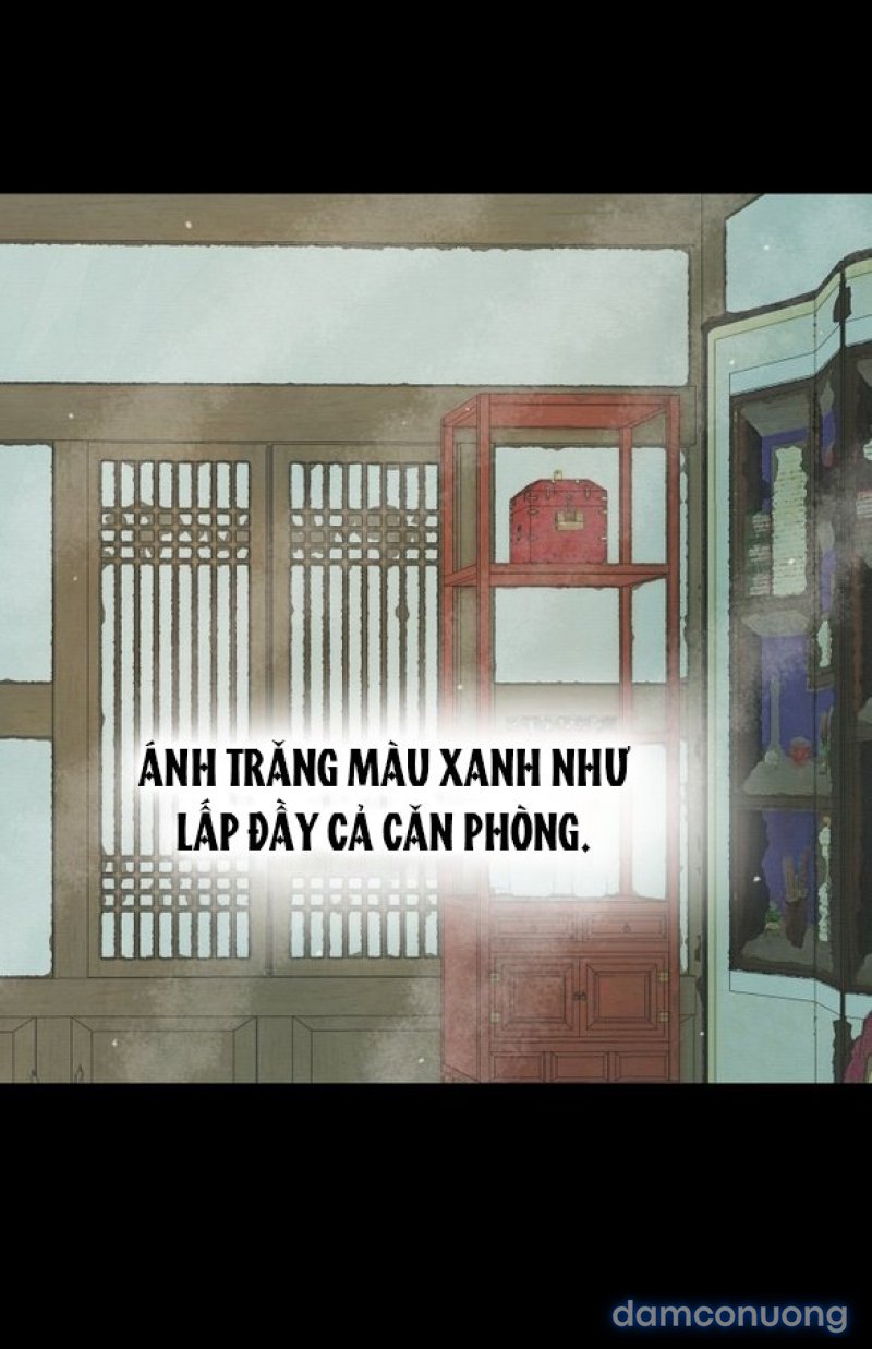 Chuyến Đi Đêm Cùng Nhà Vua 