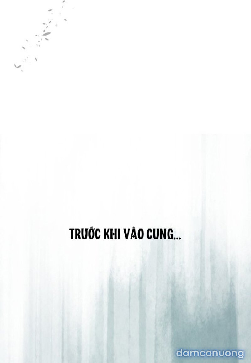 Chuyến Đi Đêm Cùng Nhà Vua 