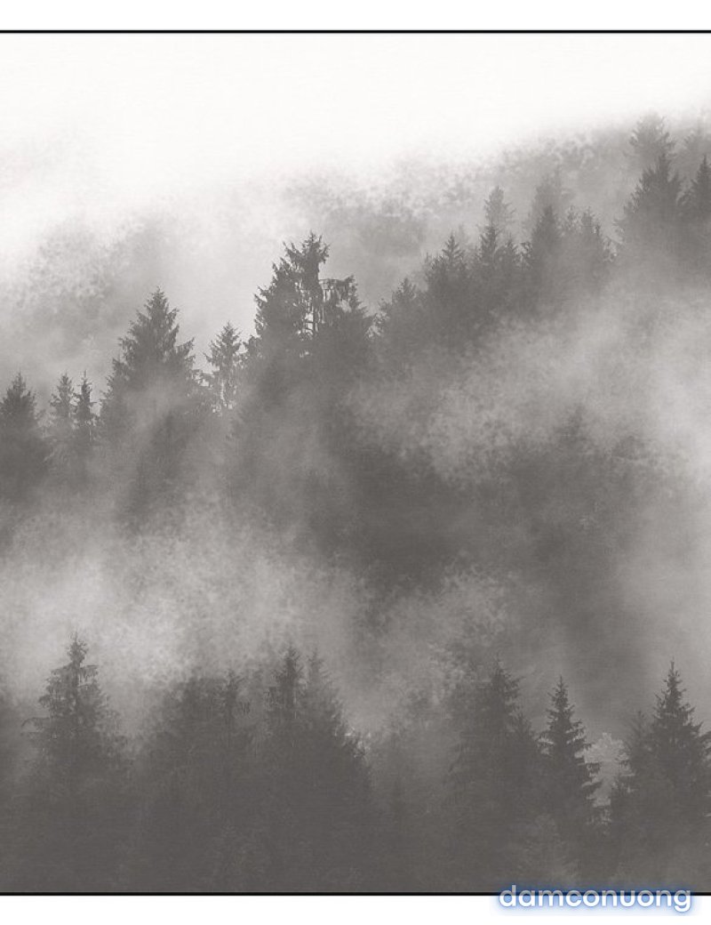 Chuyến Đi Đêm Cùng Nhà Vua 