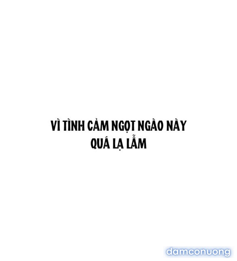Chuyến Đi Đêm Cùng Nhà Vua 