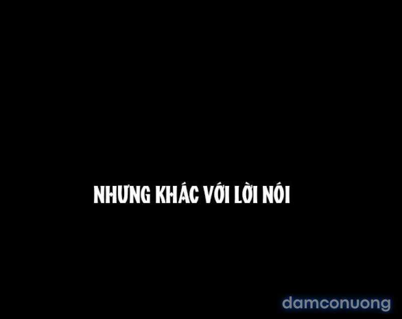 Chuyến Đi Đêm Cùng Nhà Vua 