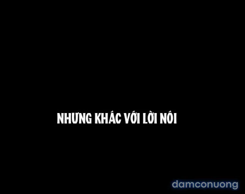 Chuyến Đi Đêm Cùng Nhà Vua 