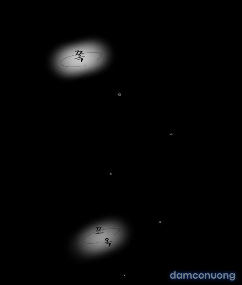 Chuyến Đi Đêm Cùng Nhà Vua 