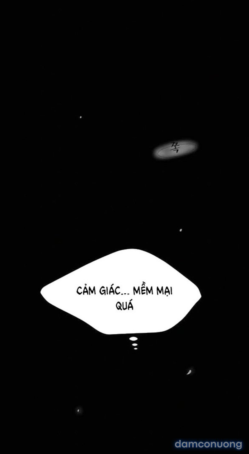 Chuyến Đi Đêm Cùng Nhà Vua 
