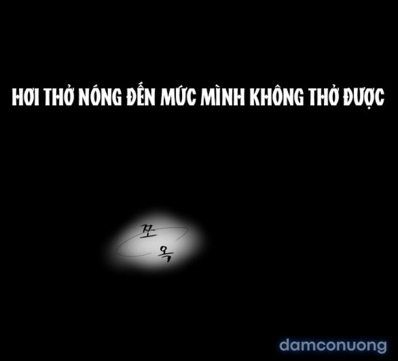 Chuyến Đi Đêm Cùng Nhà Vua 