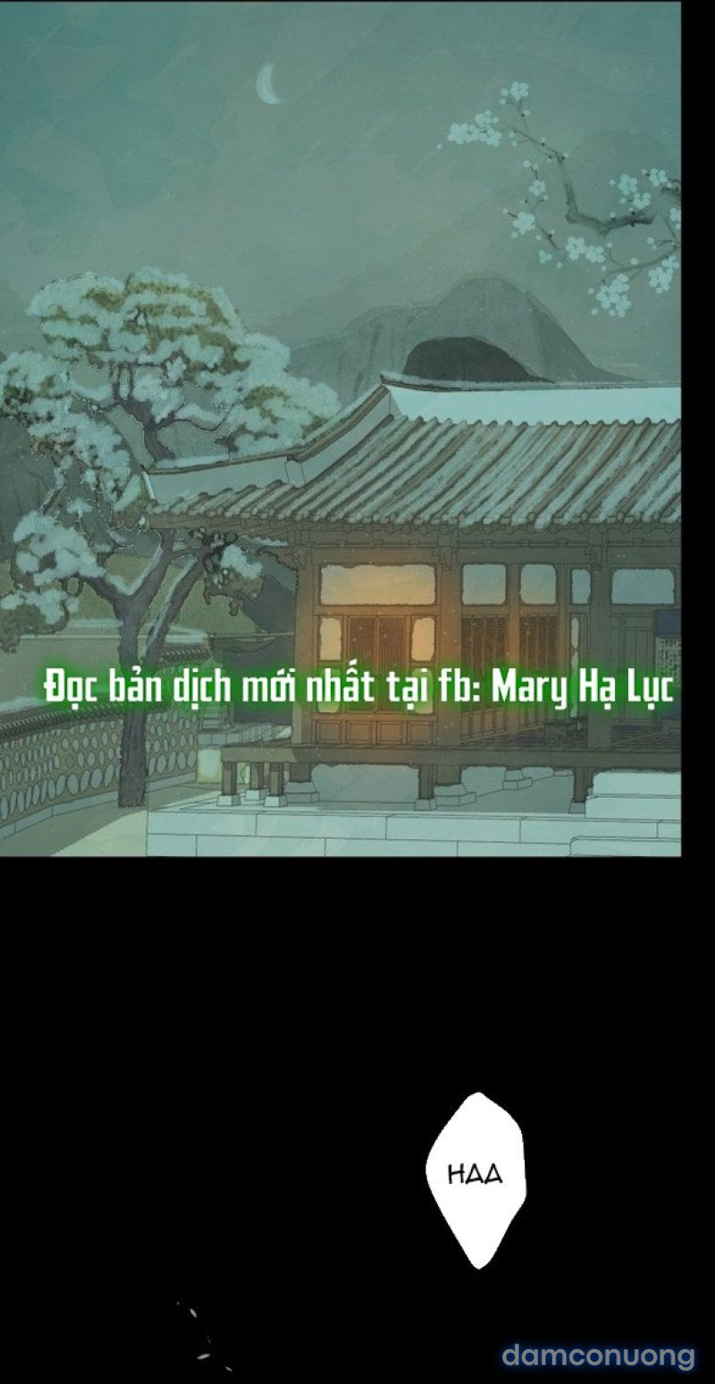Chuyến Đi Đêm Cùng Nhà Vua 