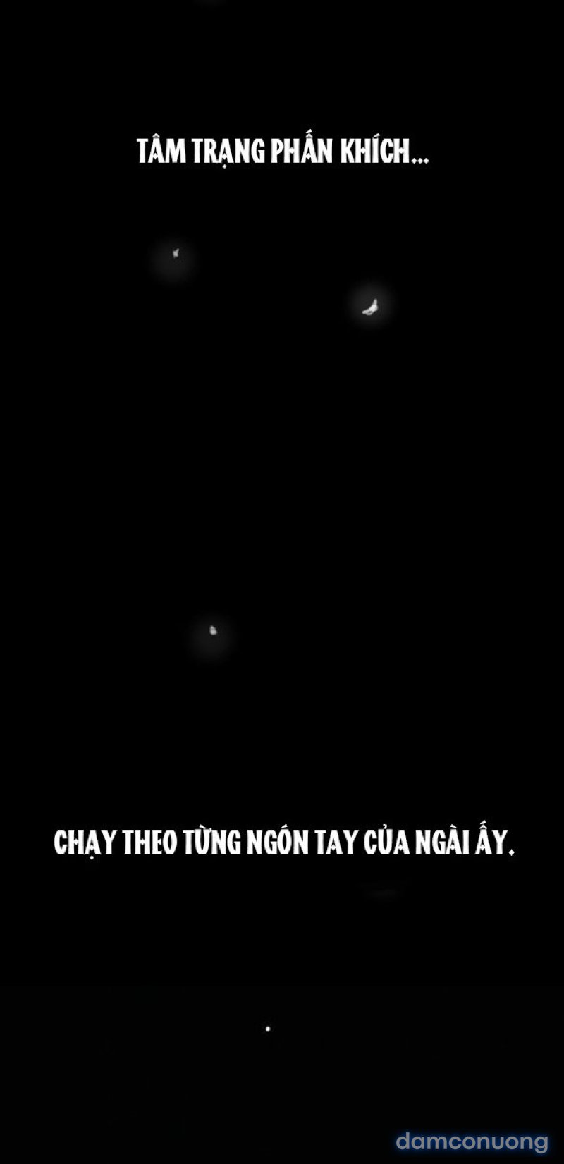 Chuyến Đi Đêm Cùng Nhà Vua 