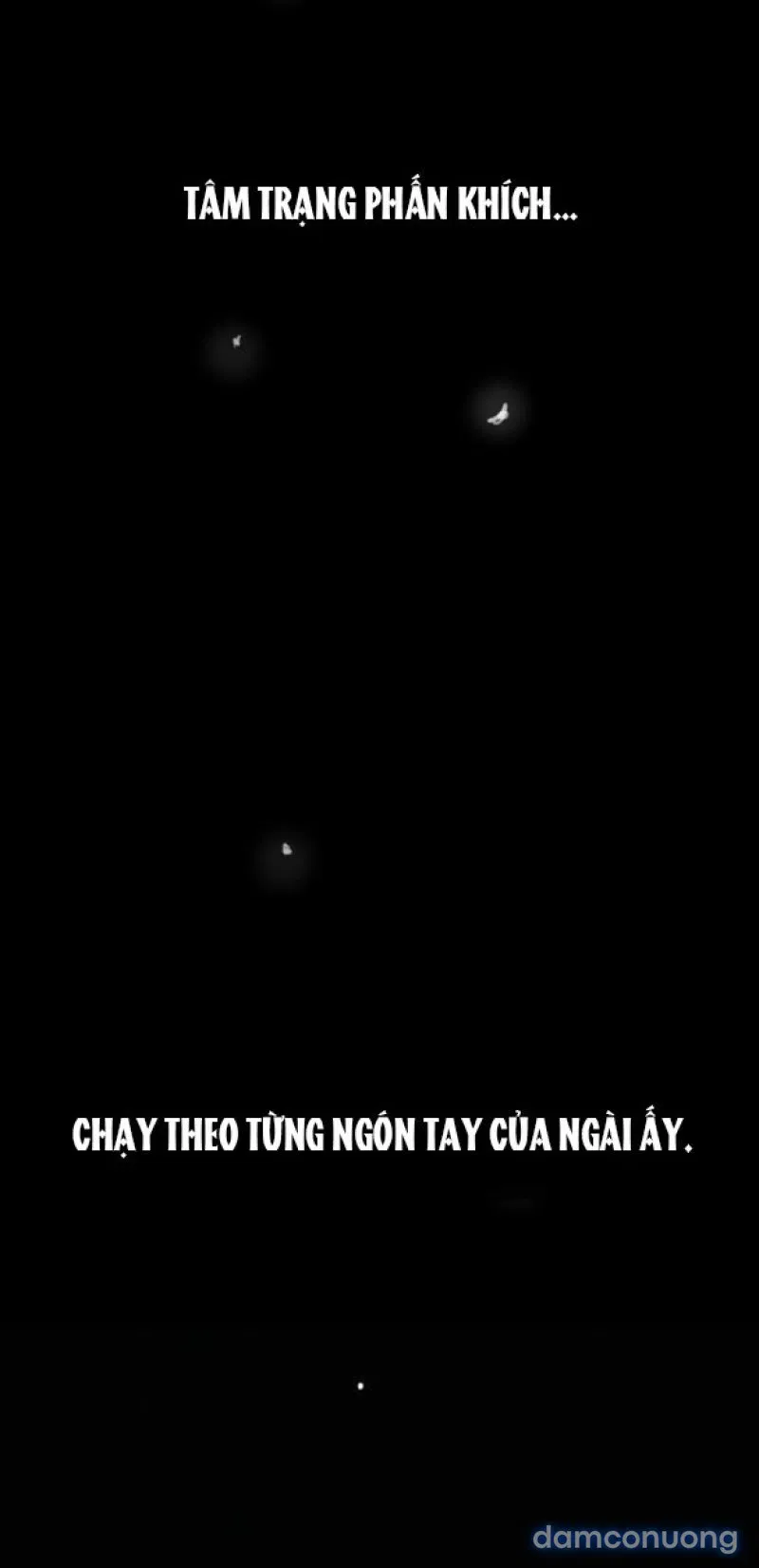 Chuyến Đi Đêm Cùng Nhà Vua 