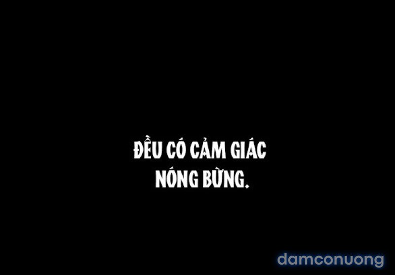 Chuyến Đi Đêm Cùng Nhà Vua 