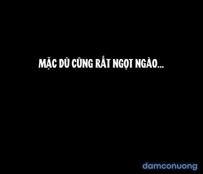 Chuyến Đi Đêm Cùng Nhà Vua 