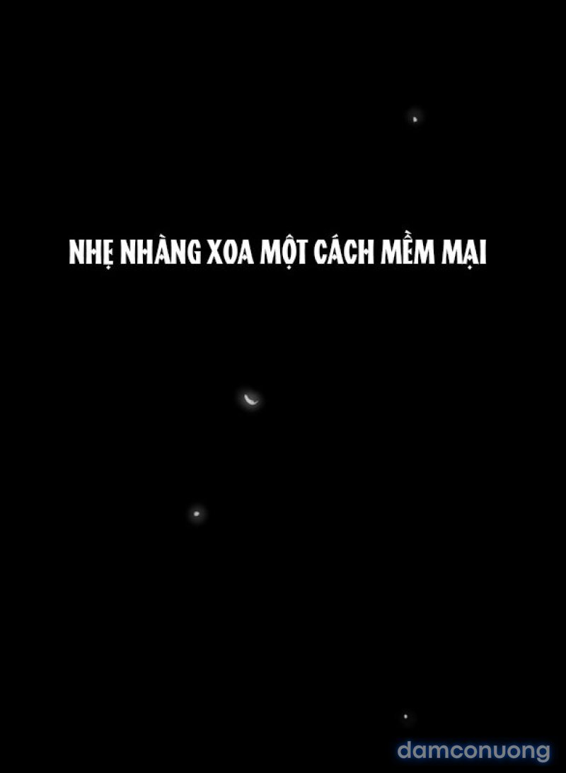 Chuyến Đi Đêm Cùng Nhà Vua 