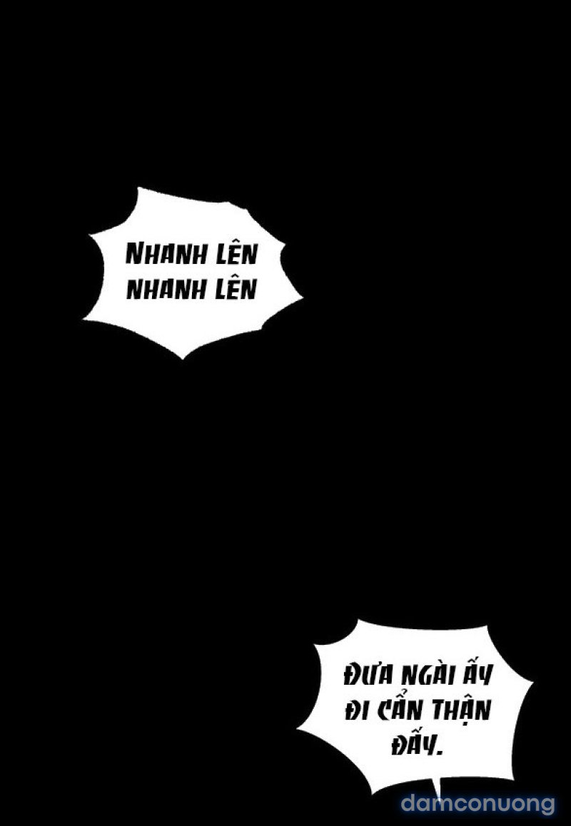 Chuyến Đi Đêm Cùng Nhà Vua 