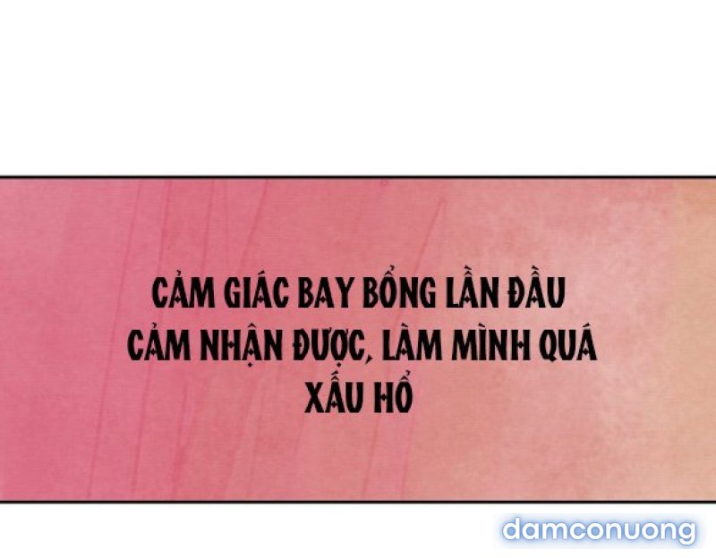 Chuyến Đi Đêm Cùng Nhà Vua 