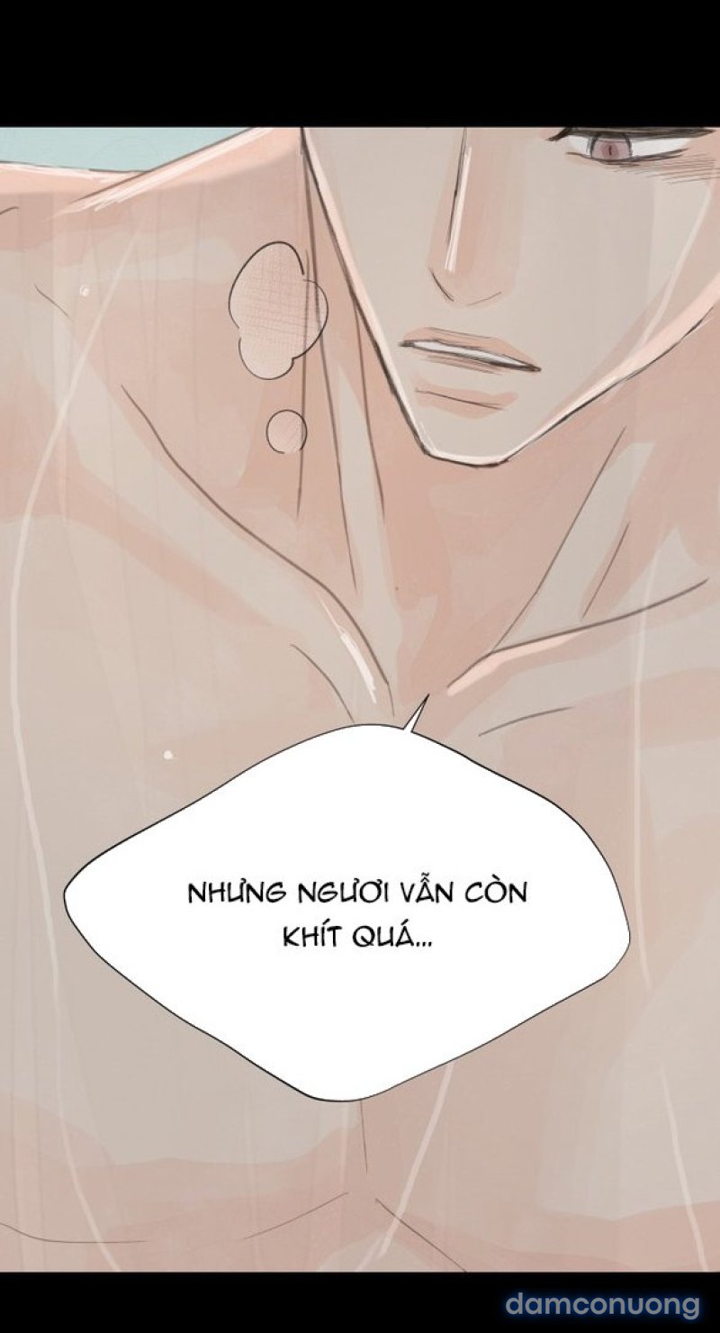 Chuyến Đi Đêm Cùng Nhà Vua 