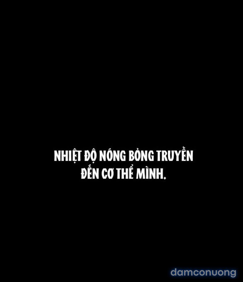 Chuyến Đi Đêm Cùng Nhà Vua 