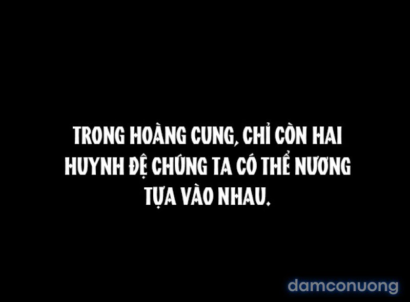Chuyến Đi Đêm Cùng Nhà Vua 