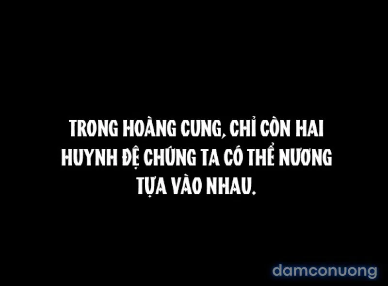 Chuyến Đi Đêm Cùng Nhà Vua 