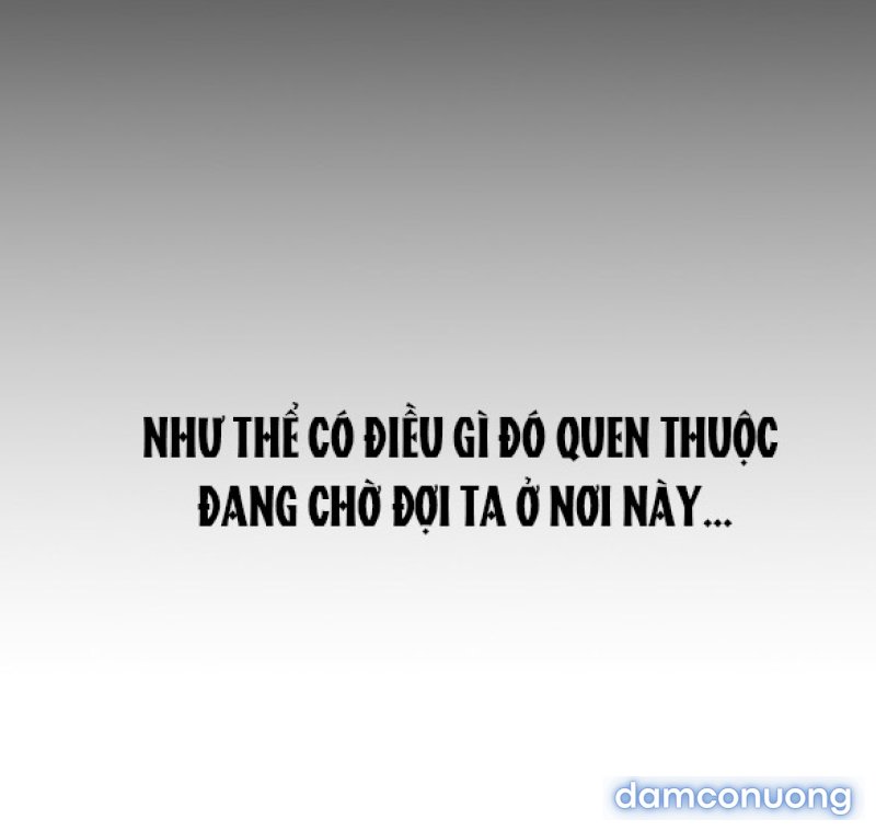 Chuyến Đi Đêm Cùng Nhà Vua 