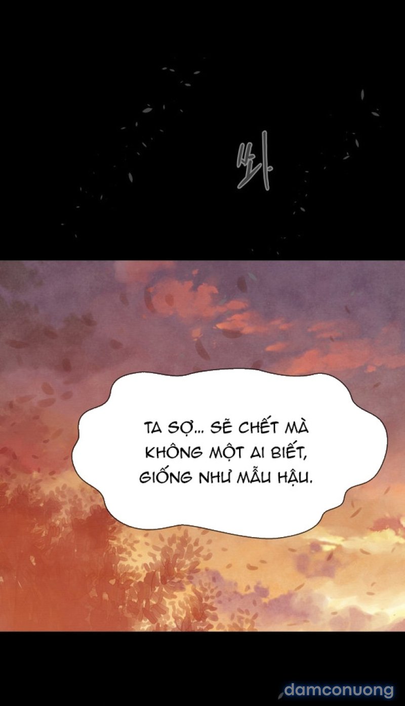 Chuyến Đi Đêm Cùng Nhà Vua 