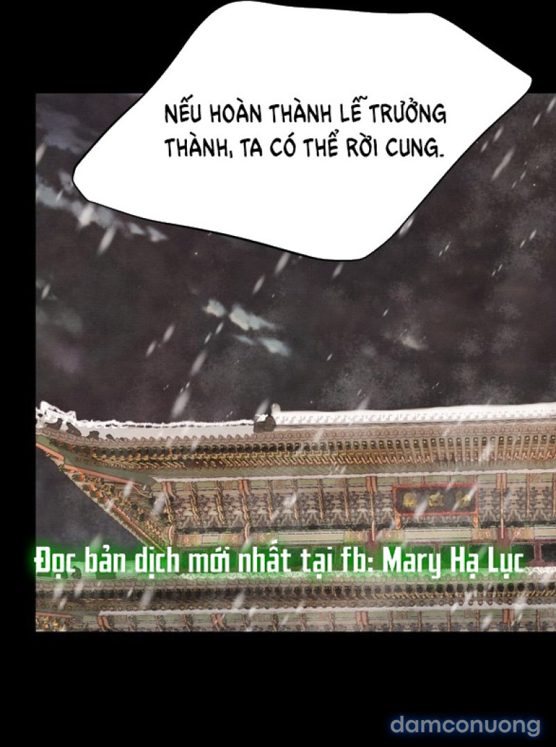 Chuyến Đi Đêm Cùng Nhà Vua 