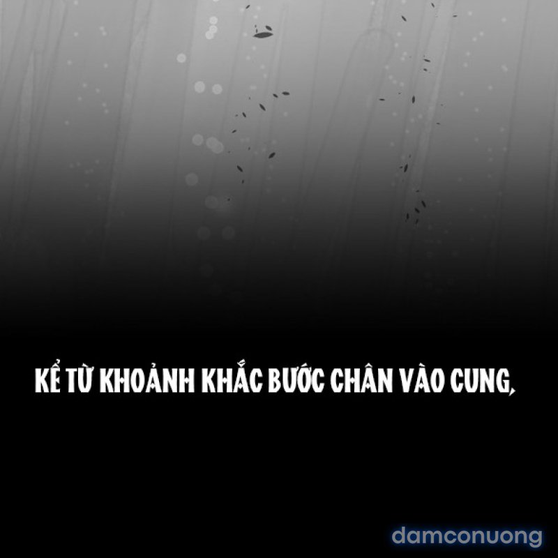 Chuyến Đi Đêm Cùng Nhà Vua 