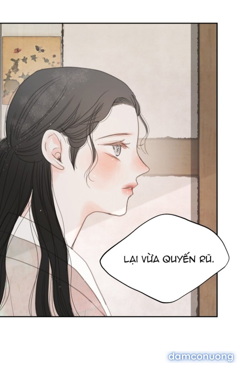 Chuyến Đi Đêm Cùng Nhà Vua 