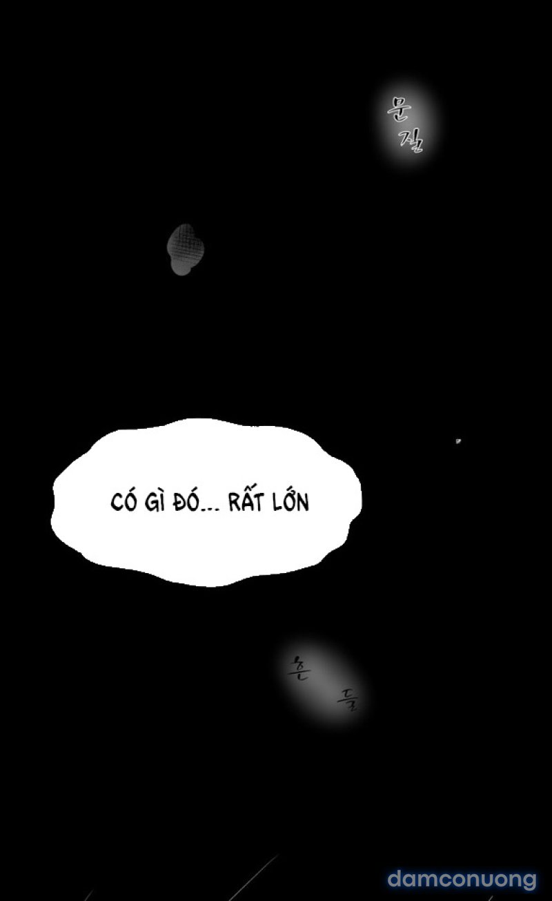 Chuyến Đi Đêm Cùng Nhà Vua 