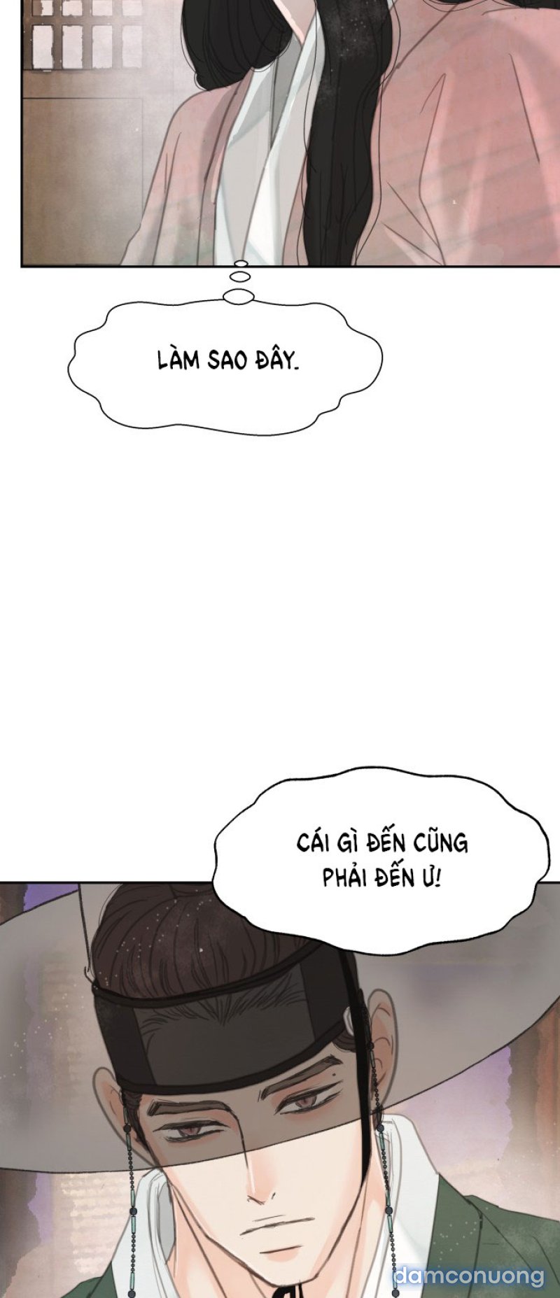 Chuyến Đi Đêm Cùng Nhà Vua 