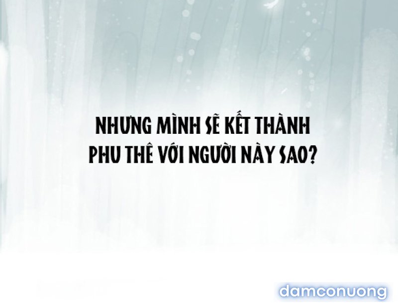 Chuyến Đi Đêm Cùng Nhà Vua 