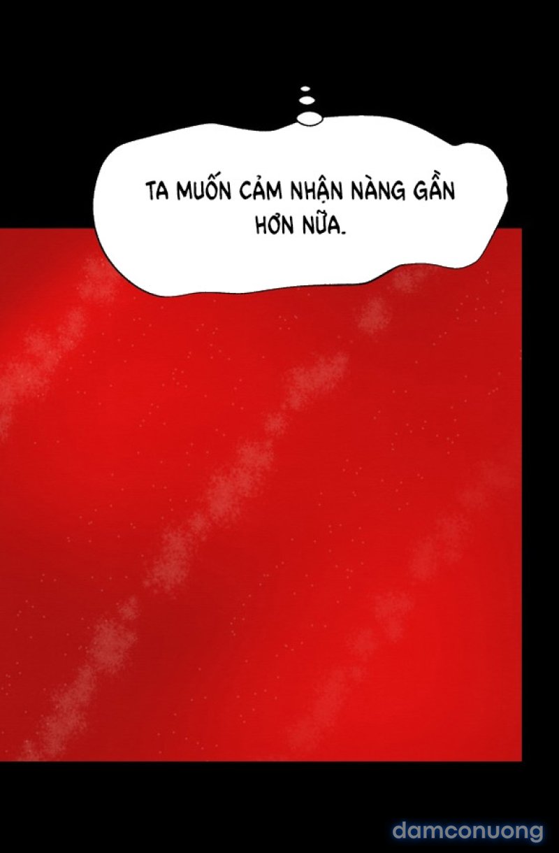 Chuyến Đi Đêm Cùng Nhà Vua 