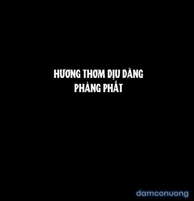 Chuyến Đi Đêm Cùng Nhà Vua 