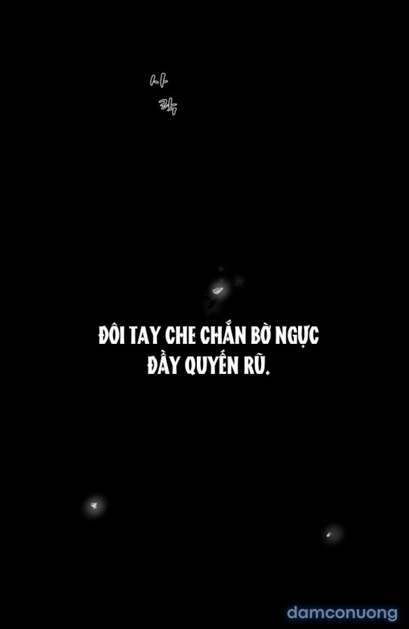 Chuyến Đi Đêm Cùng Nhà Vua 