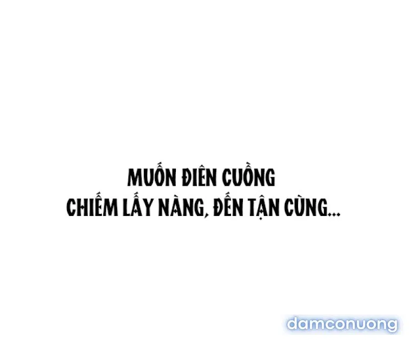 Chuyến Đi Đêm Cùng Nhà Vua 
