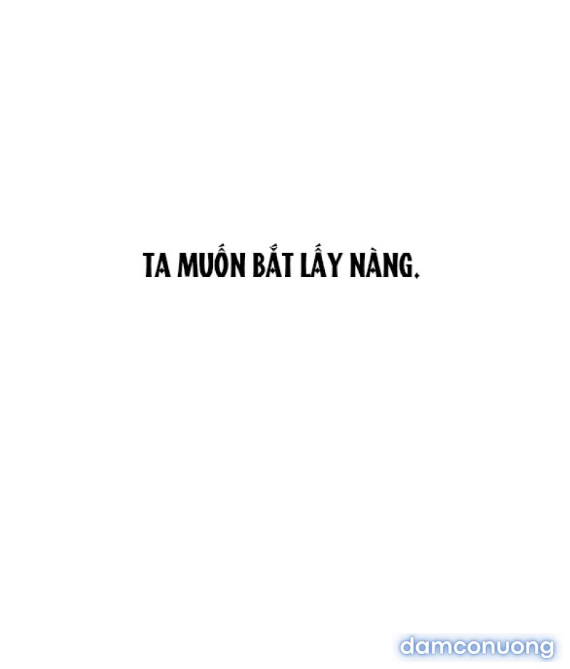 Chuyến Đi Đêm Cùng Nhà Vua 