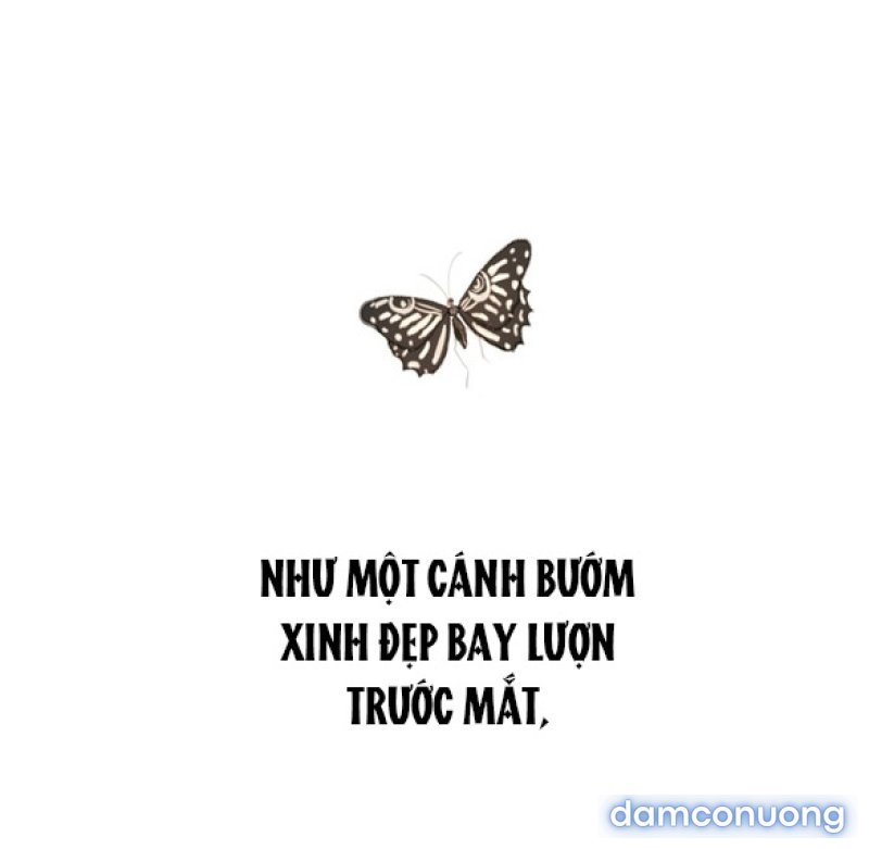 Chuyến Đi Đêm Cùng Nhà Vua 
