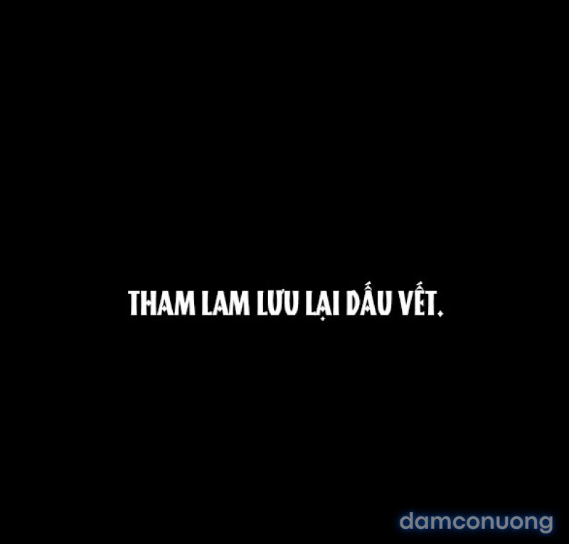 Chuyến Đi Đêm Cùng Nhà Vua 
