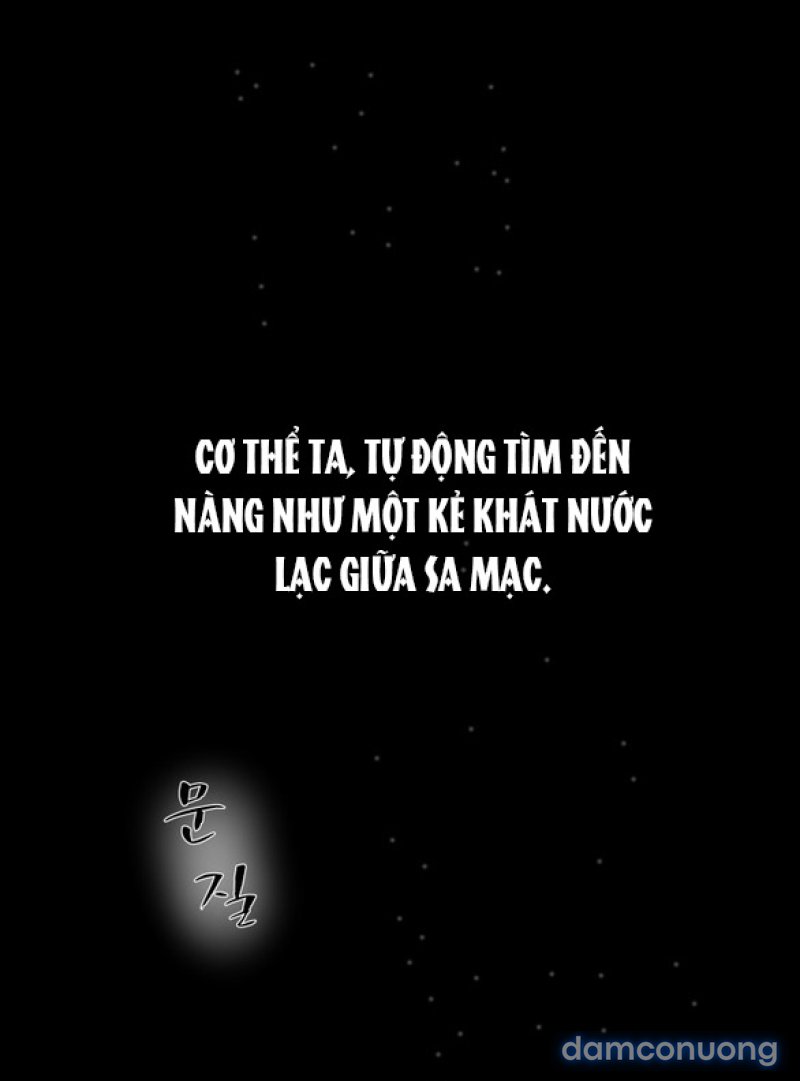 Chuyến Đi Đêm Cùng Nhà Vua 