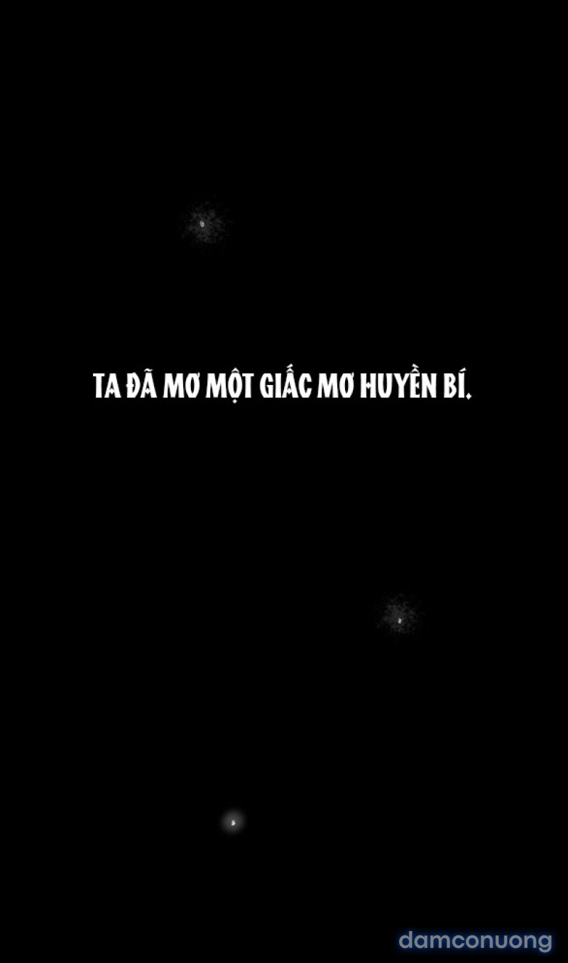 Chuyến Đi Đêm Cùng Nhà Vua 