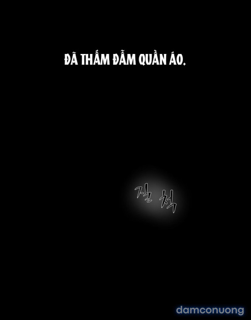 Chuyến Đi Đêm Cùng Nhà Vua 