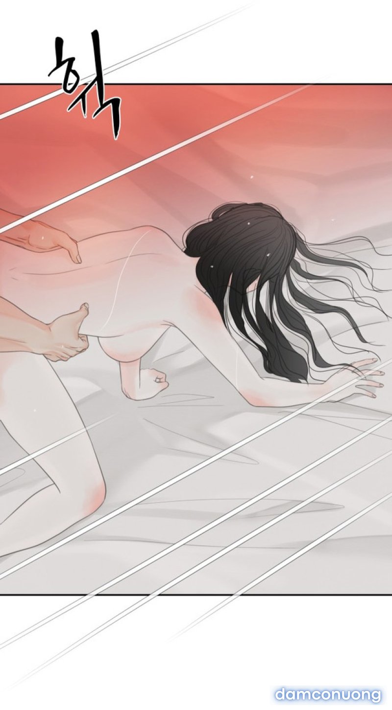 Chuyến Đi Đêm Cùng Nhà Vua 