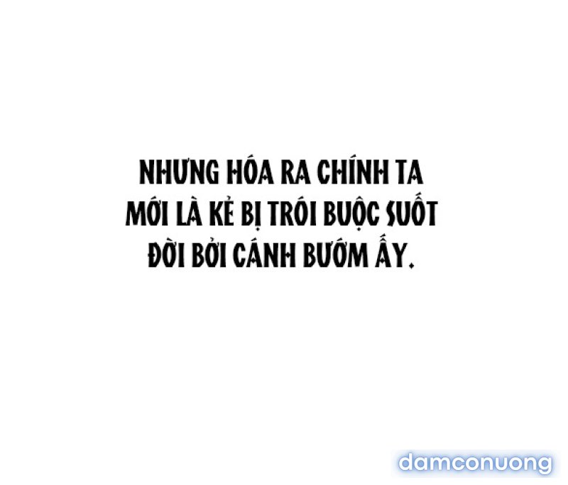 Chuyến Đi Đêm Cùng Nhà Vua 