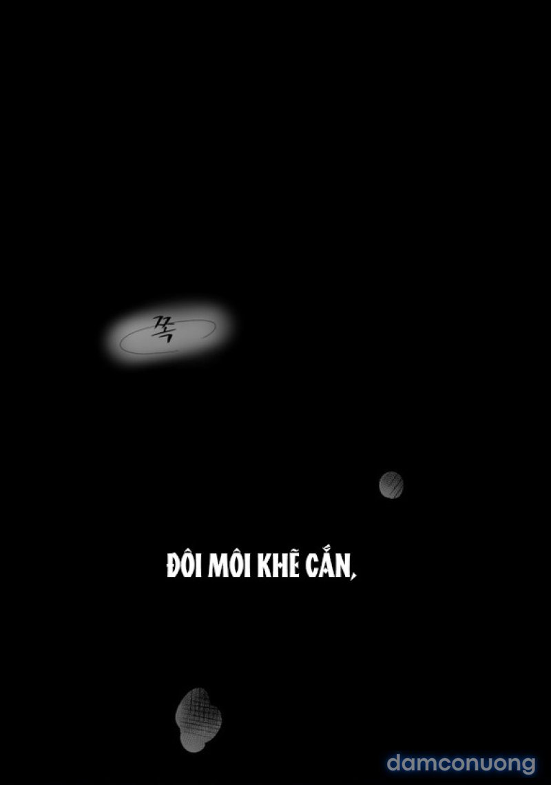 Chuyến Đi Đêm Cùng Nhà Vua 