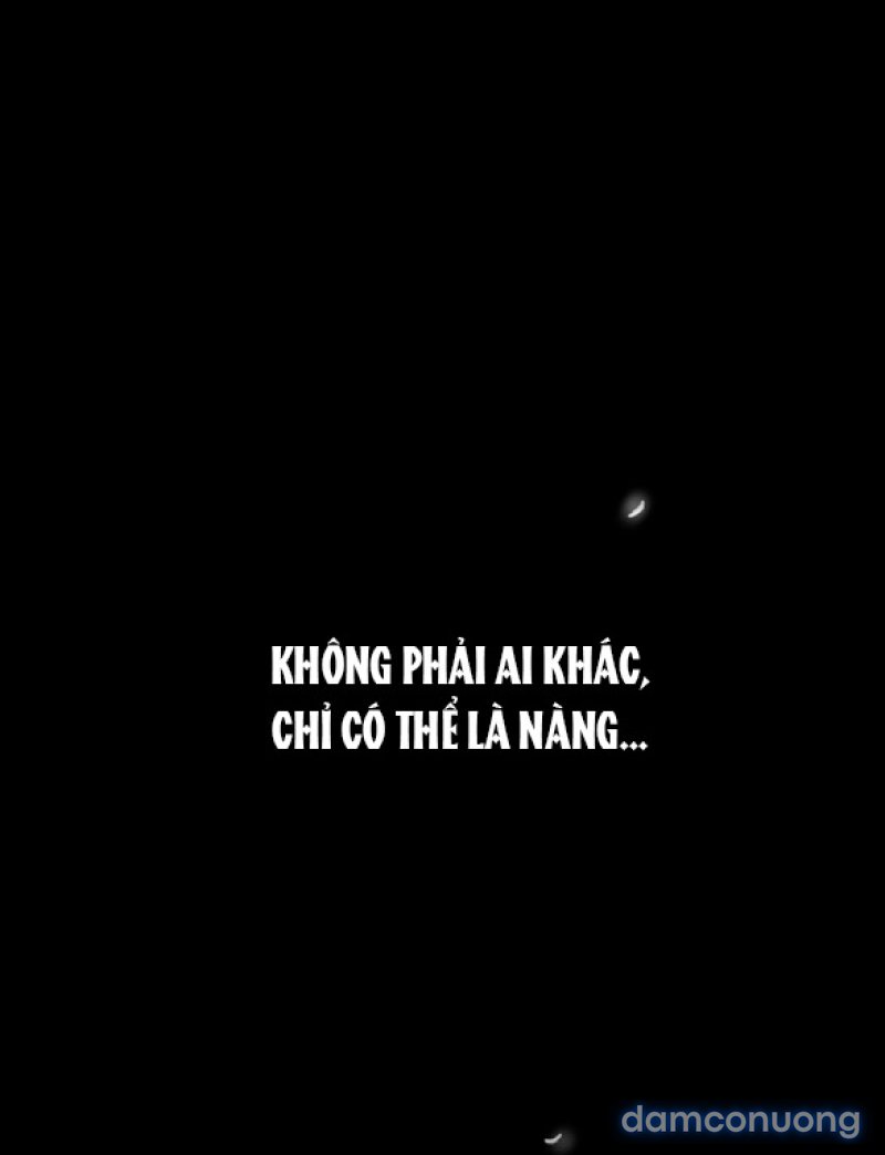 Chuyến Đi Đêm Cùng Nhà Vua 