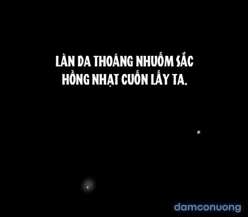 Chuyến Đi Đêm Cùng Nhà Vua 