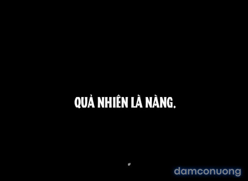 Chuyến Đi Đêm Cùng Nhà Vua 